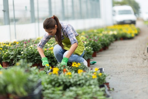 Reporting channels and safeguarding in Gardeners West Ham