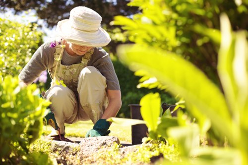 Healthy lawn care service in West Ham with neatly cut grass