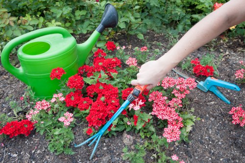 Planning a landscaping project in West Ham with hard and soft features