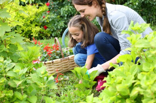 Free quote discussion for a West Ham garden job