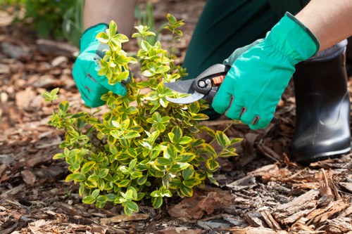 Professional garden team applying safety procedures in West Ham
