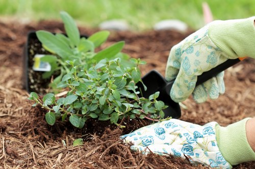 Final review stage for a gardening service complaint
