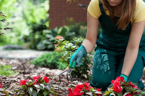 West Ham gardeners trained in safe outdoor maintenance