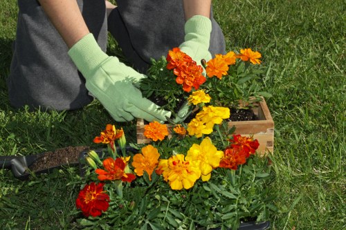 Weed control and garden clearance services in West Ham