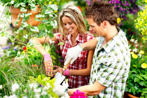 West Ham garden lawn treatment with aeration and seasonal maintenance