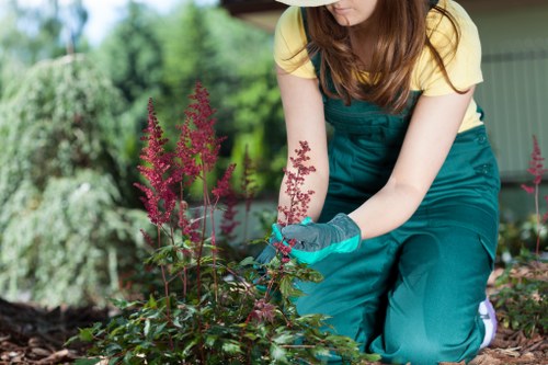 Risk assessment being carried out in a West Ham garden