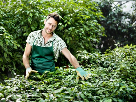 Seasonal planting and soft landscaping in West Ham gardens