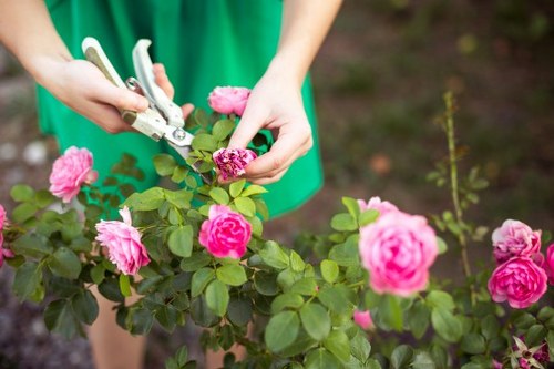 Modern garden design ideas for West Ham properties