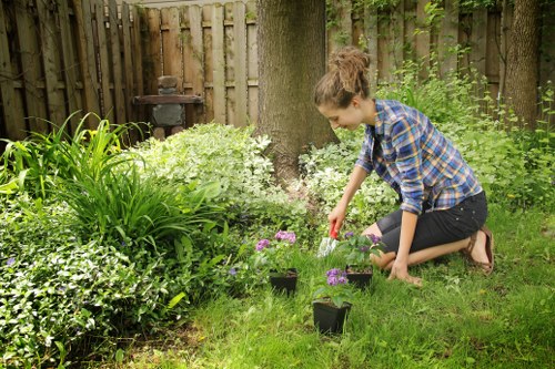 Seasonal planting and pruning in West Ham outdoor space