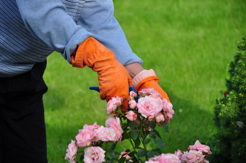 Gardeners West Ham closing section about long-term garden quality