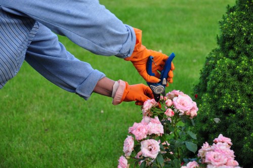 Gardening tools and protective equipment prepared for safe use