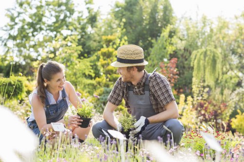 Professional garden maintenance for homes in West Ham