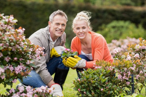 Lawn care and hedge trimming in a West Ham garden