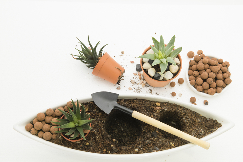 home planting