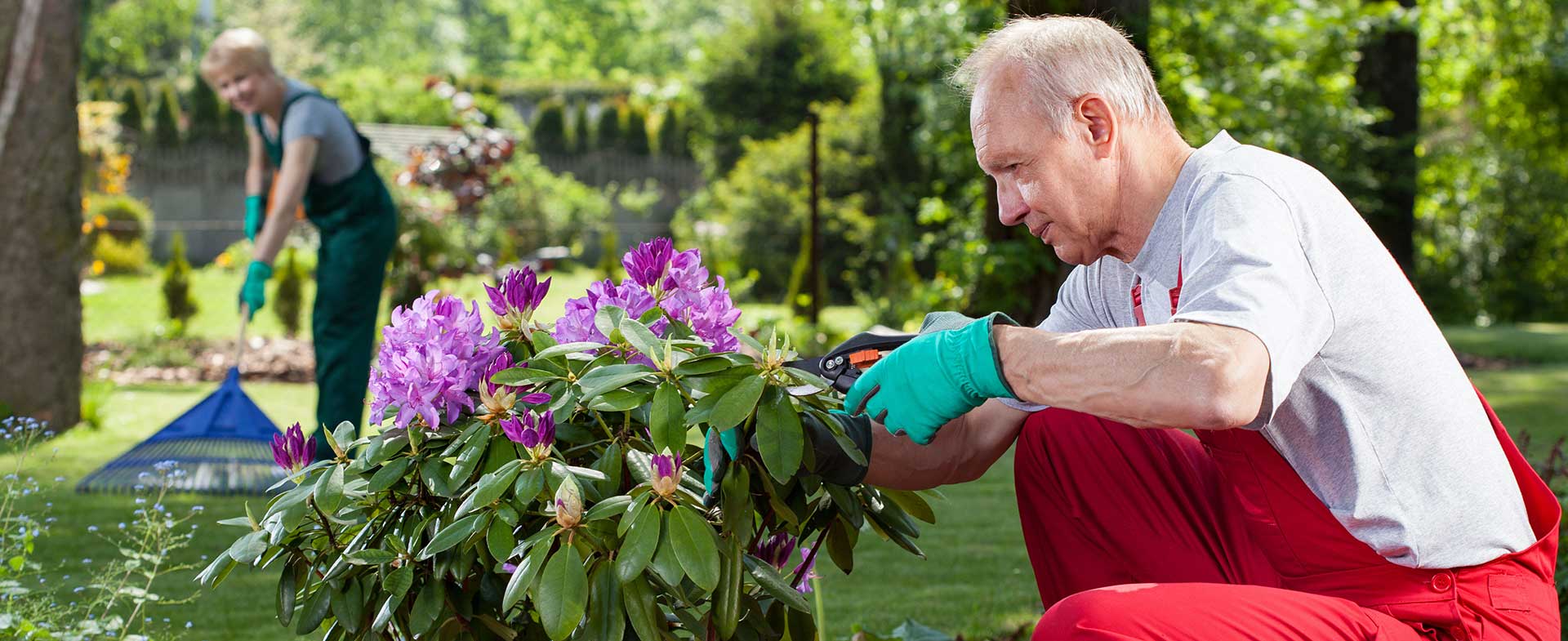 Gardeners West Ham